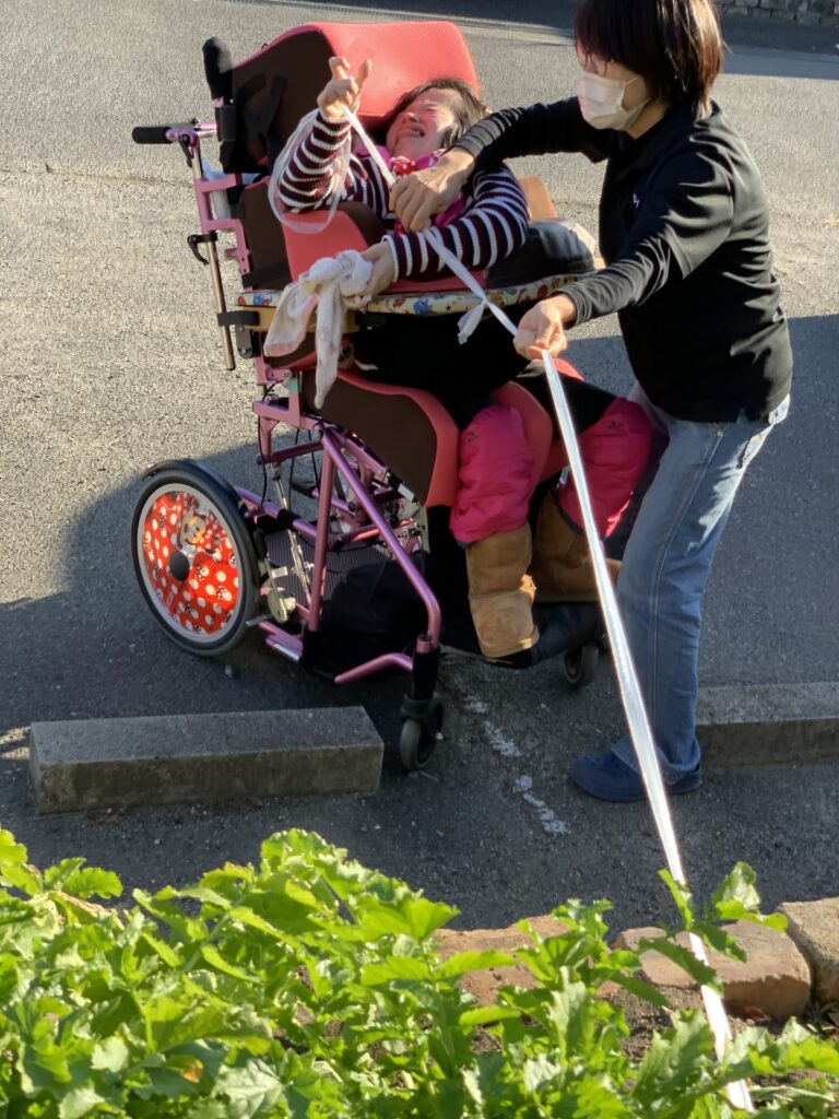 n1331